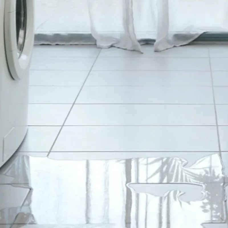 Appliance Leak Cleanup in Milton, WA