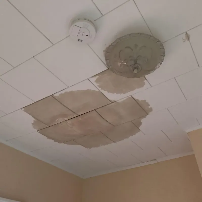 Ceiling Water Damage Repair in Milton, WA