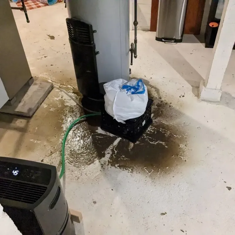 Sewage Backup Cleanup Service in Milton, WA